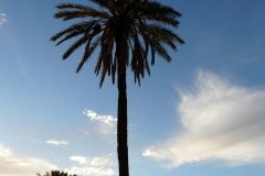 oasis-abaynou-6-scaled